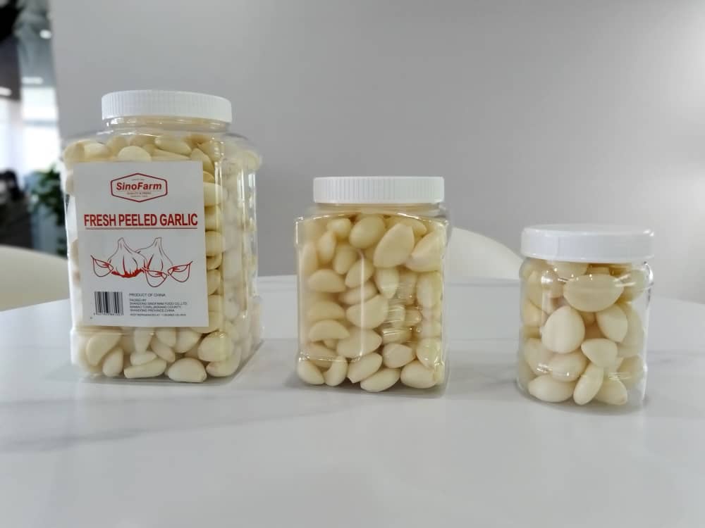 WhatsApp Image 2024-08-20 at 5.43.36 PM