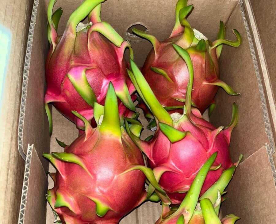 5dfc1bfc-7575-492e-8ed7-a6bee8174875