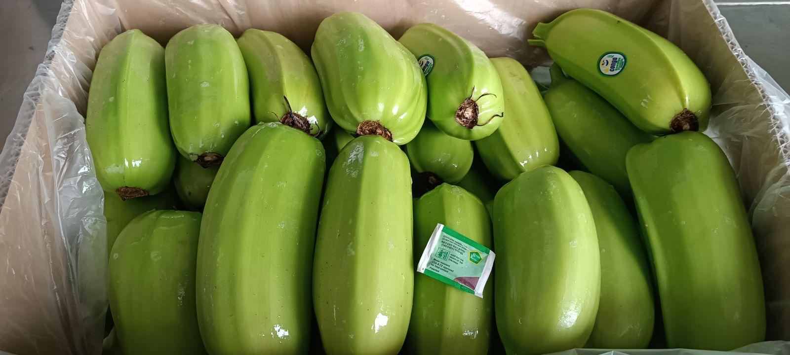 8ddfe904-da54-4bf0-a22e-c5ff8bebcafd