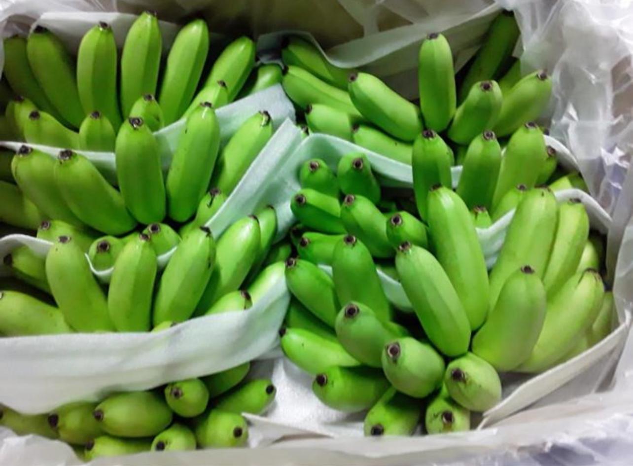 a57a0939-c536-4fb8-9b8f-296a93752128