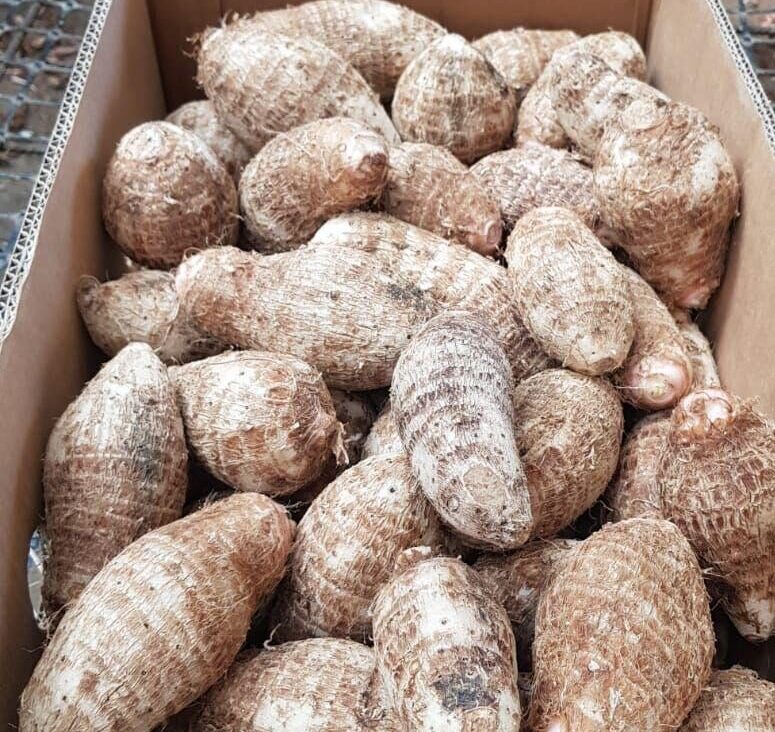 f6ac17bf-6153-43bd-9982-10ca44f73ab4